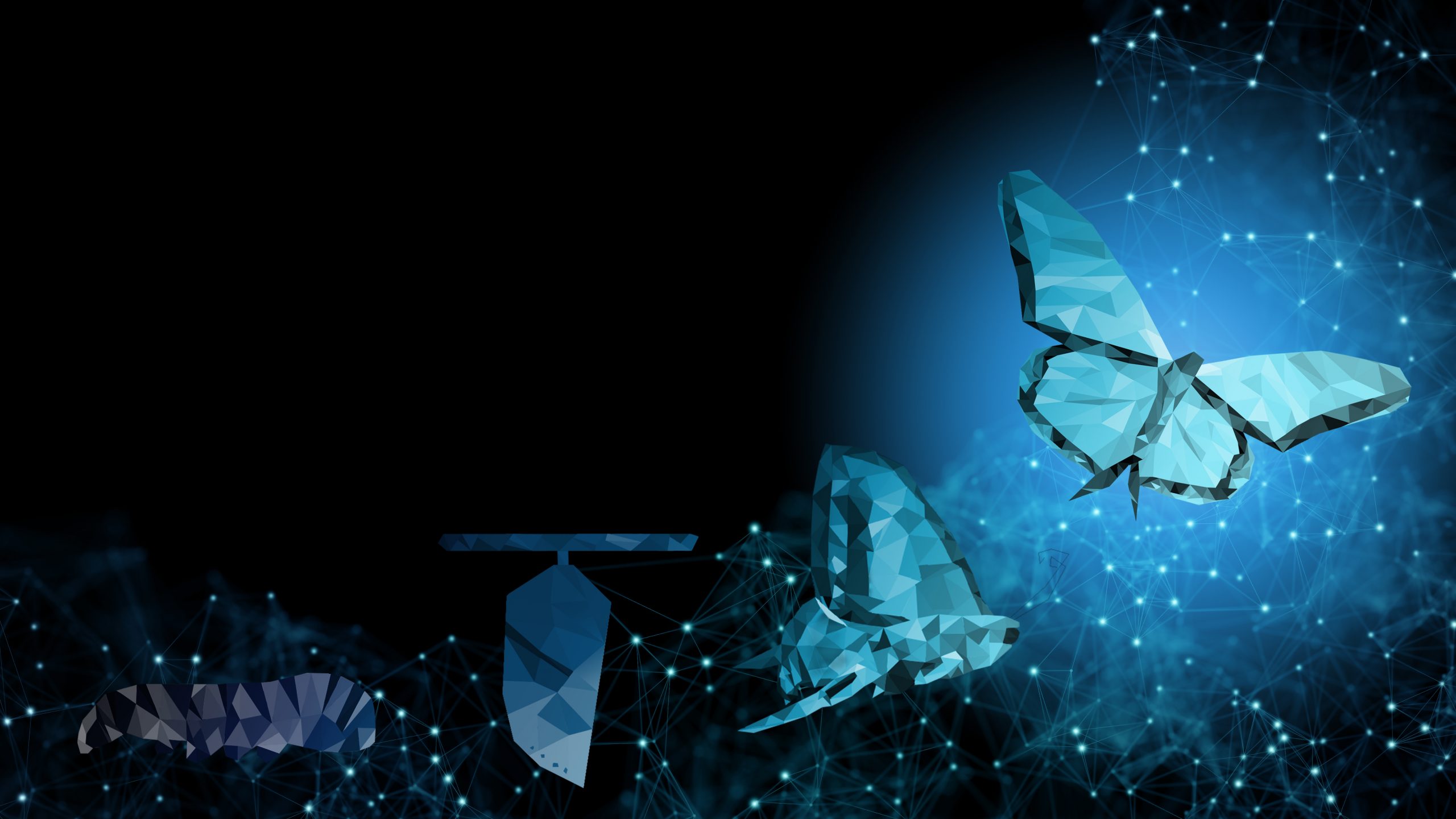 An Access Domain Methodology For Network Transformation